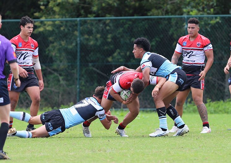 SGB Rnd 2 BEARS vs SHARKS