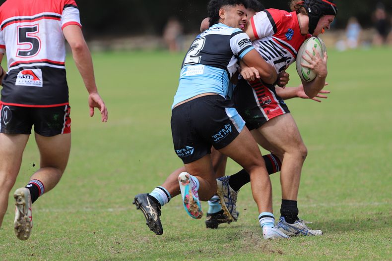 SGB Rnd 2 BEARS vs SHARKS