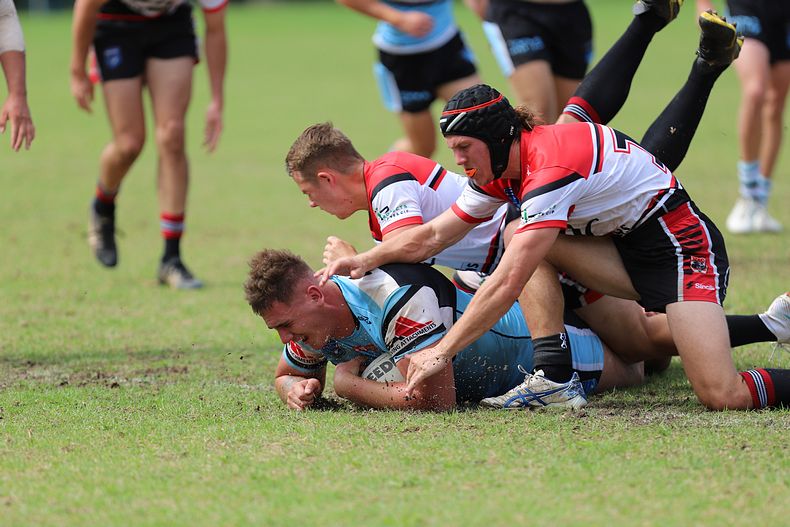 SGB Rnd 2 BEARS vs SHARKS