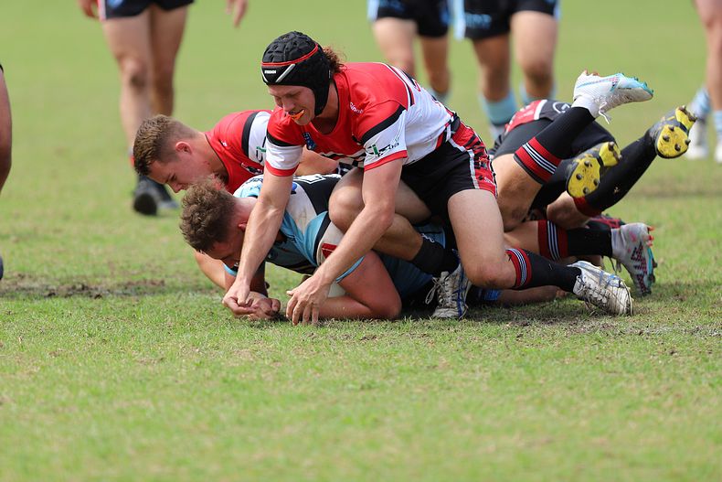 SGB Rnd 2 BEARS vs SHARKS