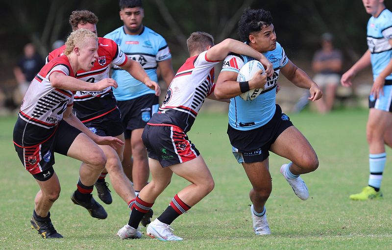 SGB Rnd 2 BEARS vs SHARKS