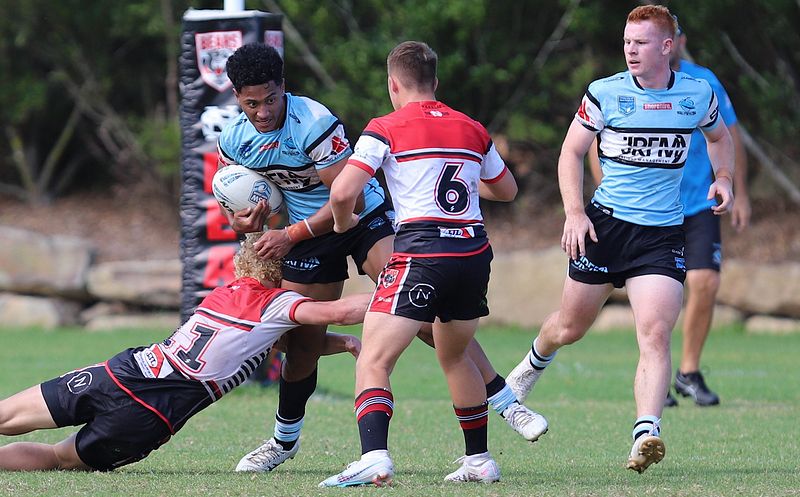 SGB Rnd 2 BEARS vs SHARKS