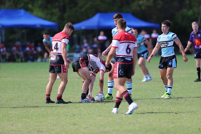 SGB Rnd 2 BEARS vs SHARKS