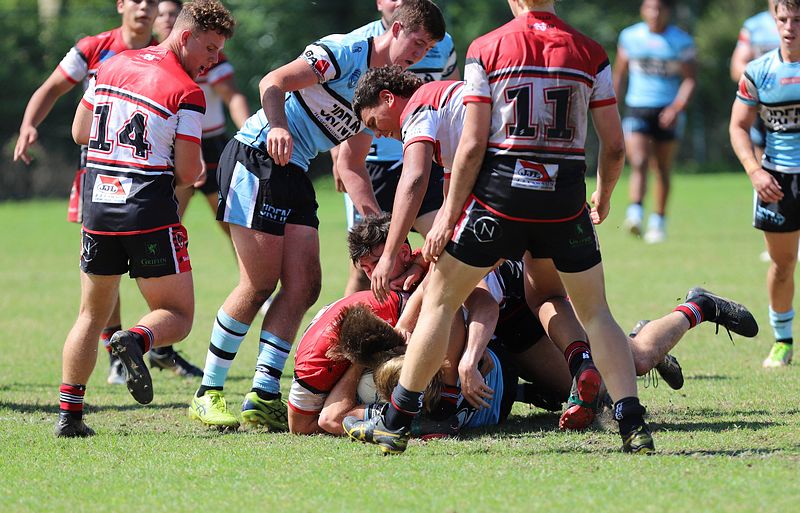 SGB Rnd 2 BEARS vs SHARKS