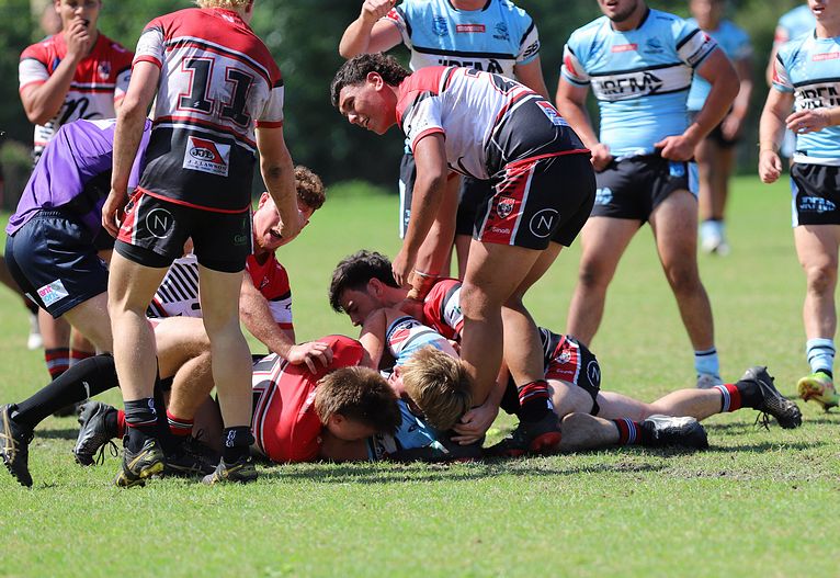 SGB Rnd 2 BEARS vs SHARKS