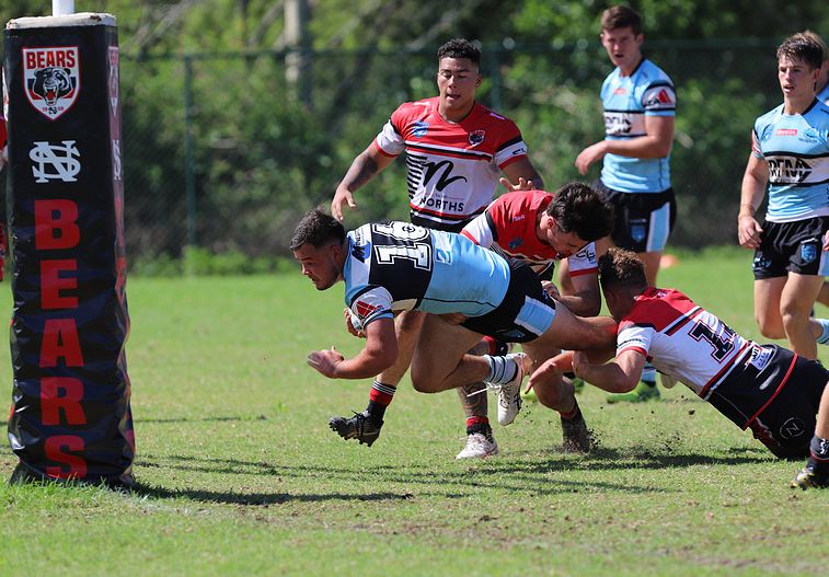 SGB Rnd 2 BEARS vs SHARKS