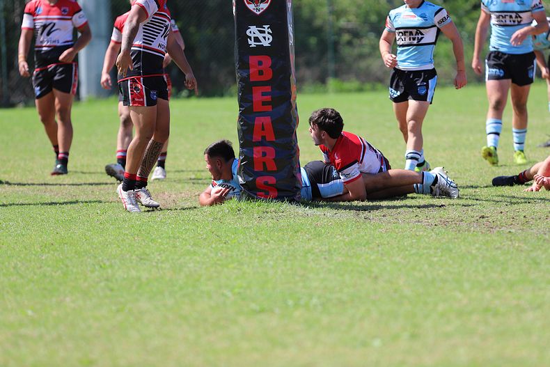 SGB Rnd 2 BEARS vs SHARKS