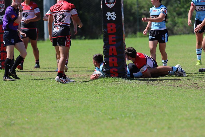 SGB Rnd 2 BEARS vs SHARKS
