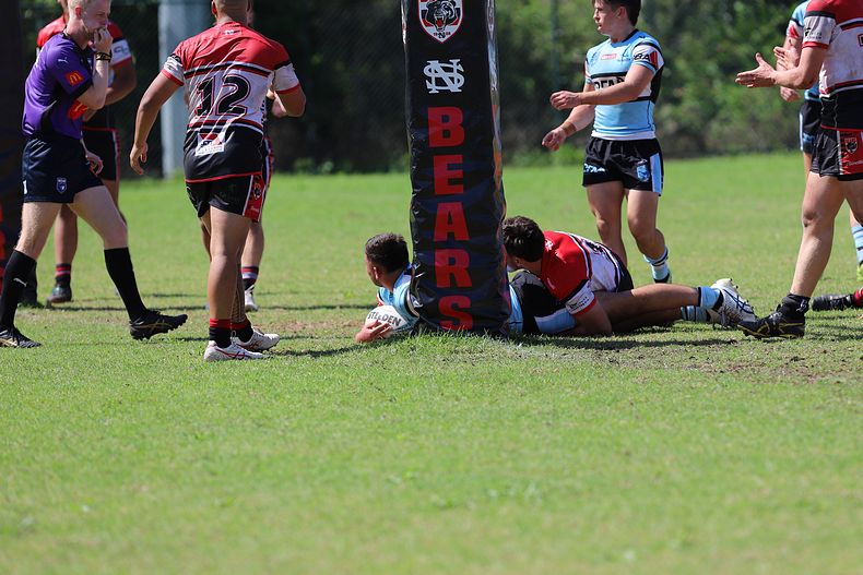 SGB Rnd 2 BEARS vs SHARKS