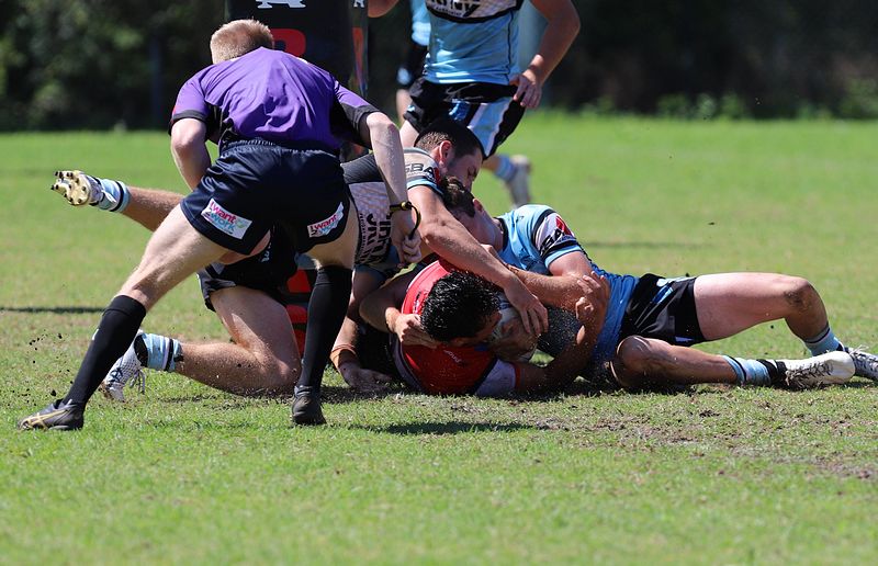 SGB Rnd 2 BEARS vs SHARKS