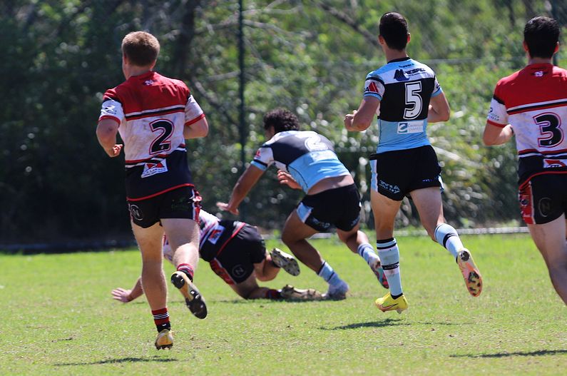 SGB Rnd 2 BEARS vs SHARKS