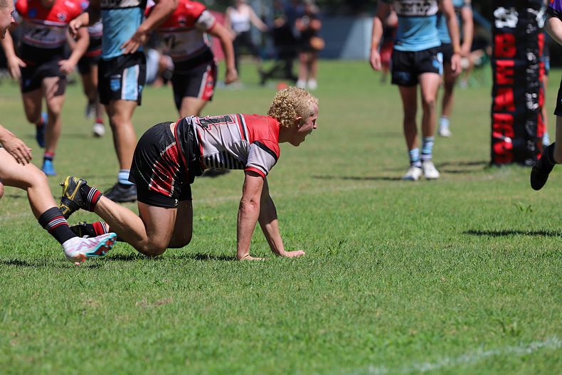 SGB Rnd 2 BEARS vs SHARKS