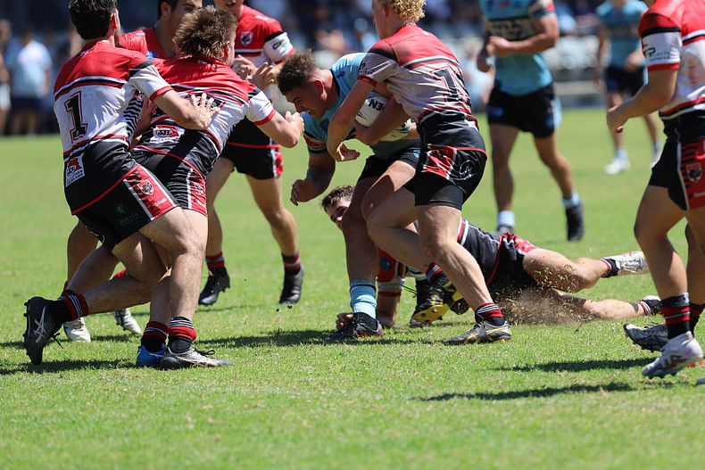 SGB Rnd 2 BEARS vs SHARKS