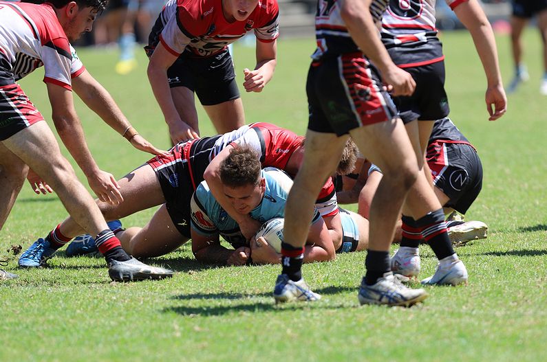 SGB Rnd 2 BEARS vs SHARKS