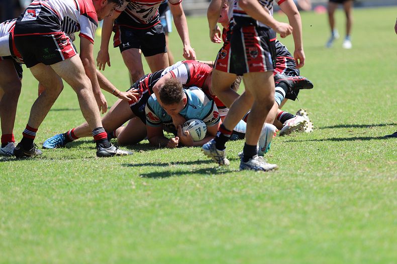 SGB Rnd 2 BEARS vs SHARKS