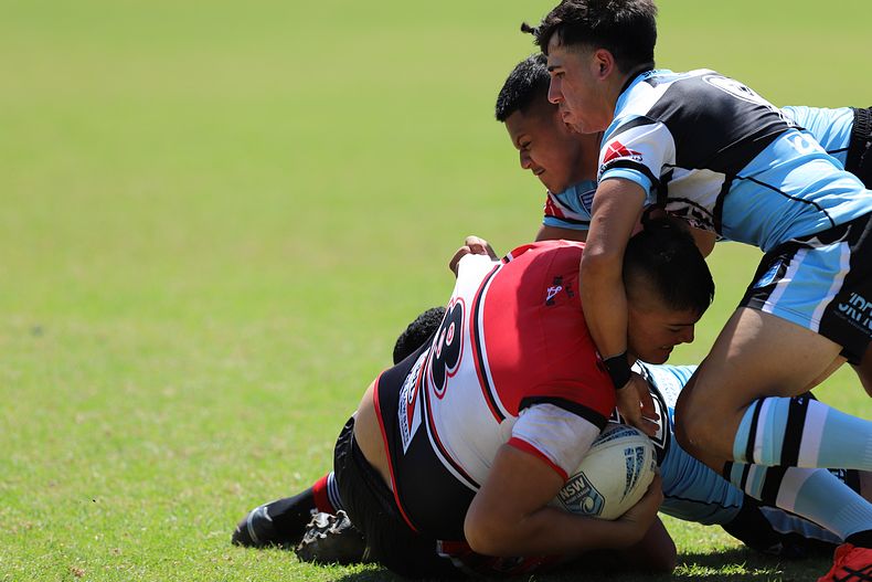 HMC Rnd 2 BEARS v SHARKS