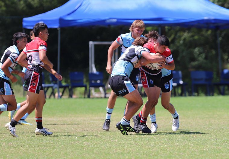 HMC Rnd 2 BEARS v SHARKS