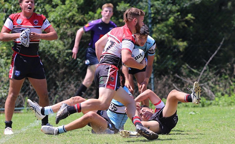 HMC Rnd 2 BEARS v SHARKS