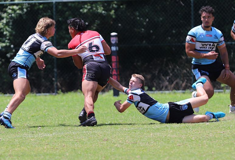 HMC Rnd 2 BEARS v SHARKS