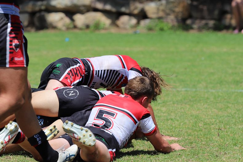 HMC Rnd 2 BEARS v SHARKS