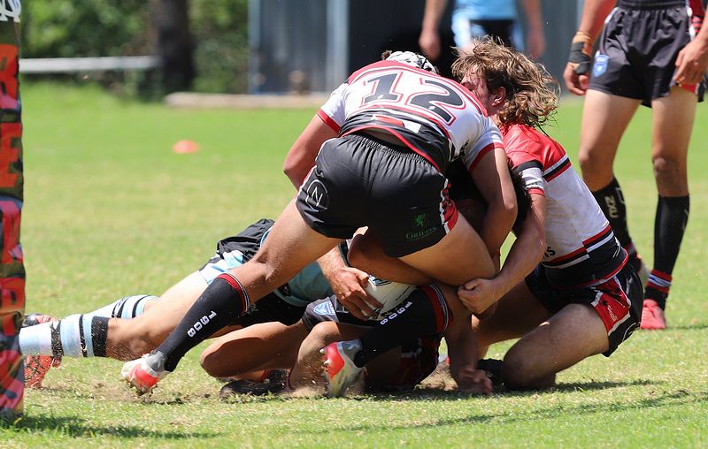 HMC Rnd 2 BEARS v SHARKS