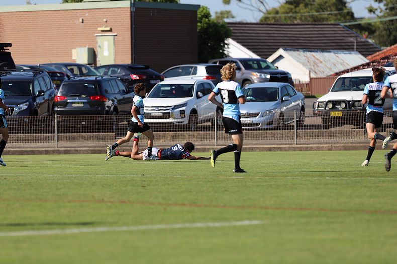 U16s Academy ROOSTERS v SHARKS