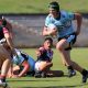 Under 16s Academy game Action Photo's Sydney Roosters vs Cronulla Sharks (Photo's : Steve Montgomery)