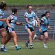 Cronulla Sharks TGC & HNWP Rnd 3 match report (Photo : Steve Montgomery)