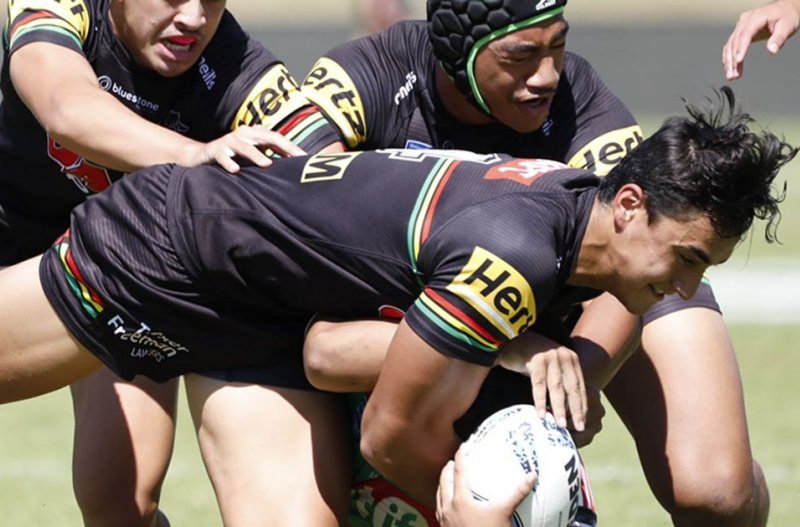 Thrilling finish sees Harold Matthews draw (Photo : Panthers media)