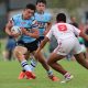 Sharks Matts march on (Photo : Steve Montgomery)