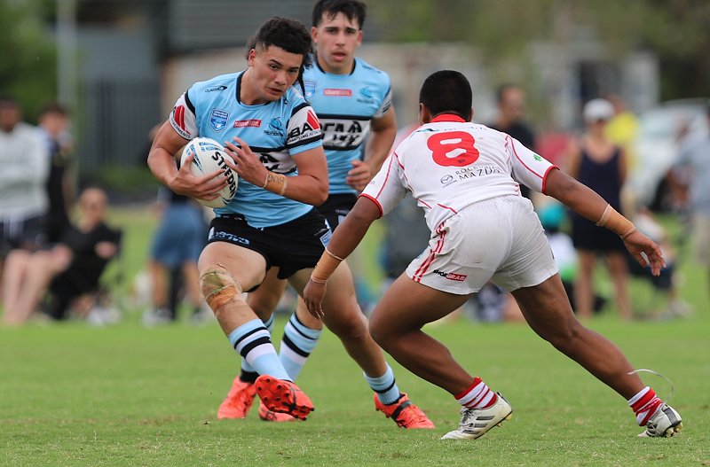 Sharks Matts march on (Photo : Steve Montgomery)