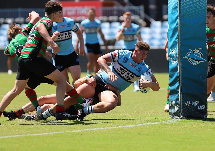 SGB Rnd 5 SHARKS vs RABBITOHS