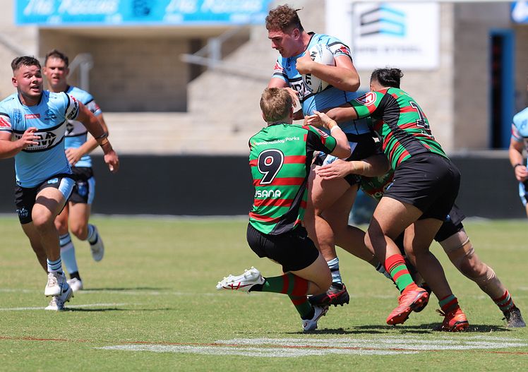 SGB Rnd 5 SHARKS vs RABBITOHS