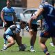 NSWRL Jersey Flegg Cup Round 5 Draw, Results, Ladder & Top Point Scorers (Photo : Steve Montgomery)