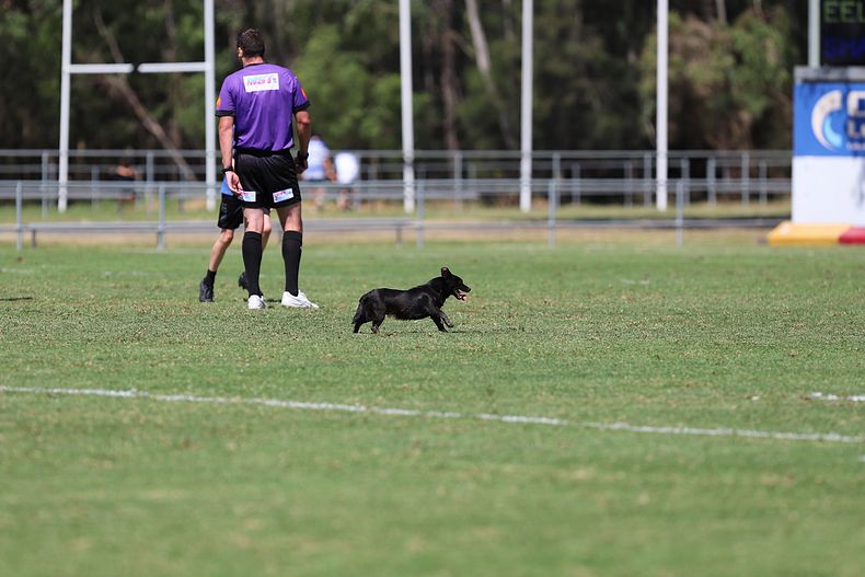 JFC Rnd 2 EELS vs SHARKS