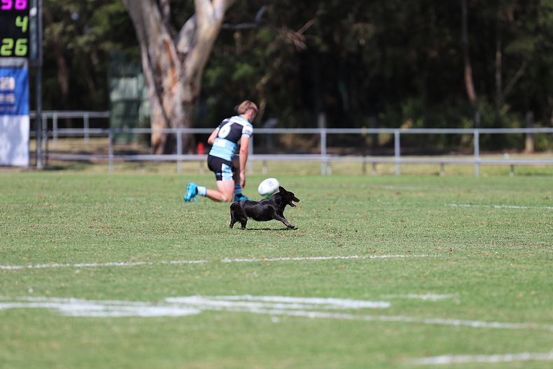 JFC Rnd 2 EELS vs SHARKS