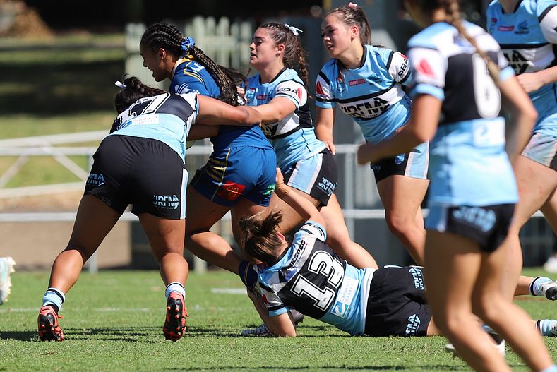 TGC Rnd 6 EELS vs SHARKS