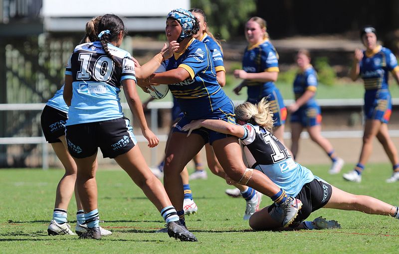 TGC Rnd 6 EELS vs SHARKS