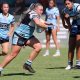 Sharks women continue their winning ways (Photo : Steve Montgomery)