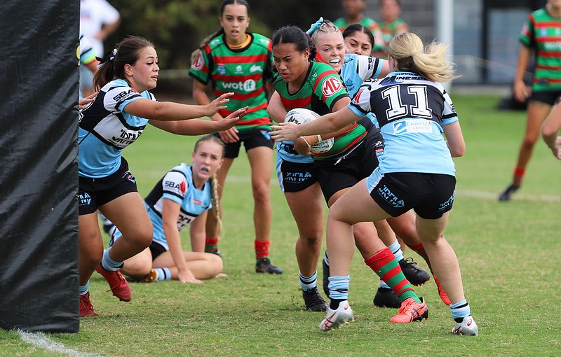 TGC Rnd 5 SHARKS vs RABBITOHS