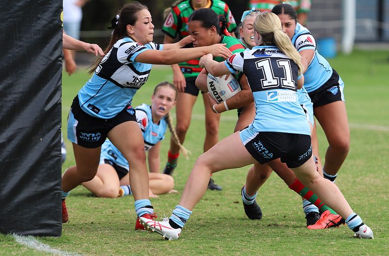 TGC Rnd 5 SHARKS vs RABBITOHS