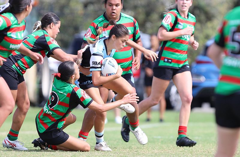 TGC Rnd 5 SHARKS vs RABBITOHS