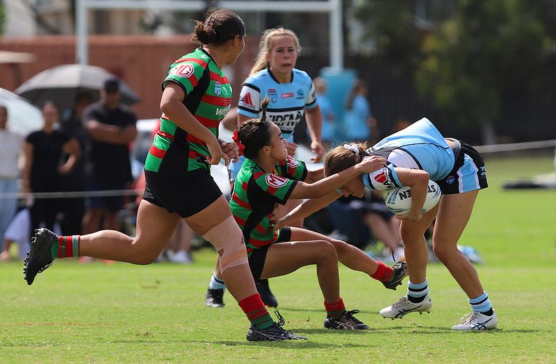 TGC Rnd 5 SHARKS vs RABBITOHS