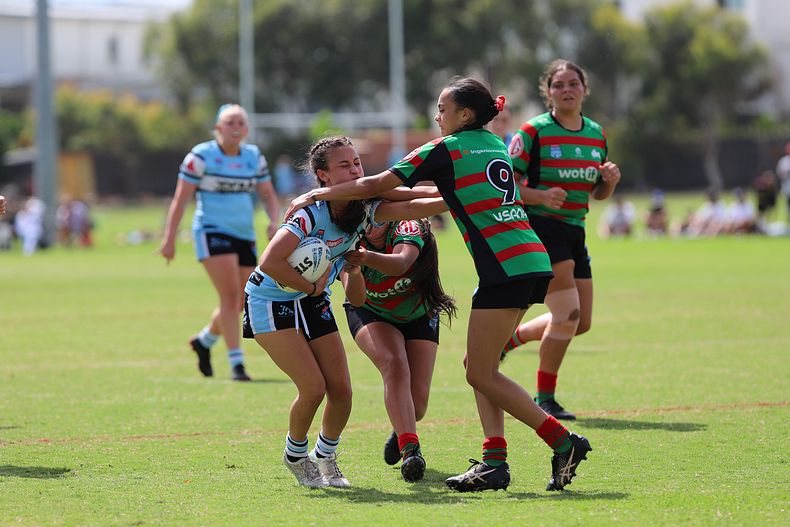 TGC Rnd 5 SHARKS vs RABBITOHS