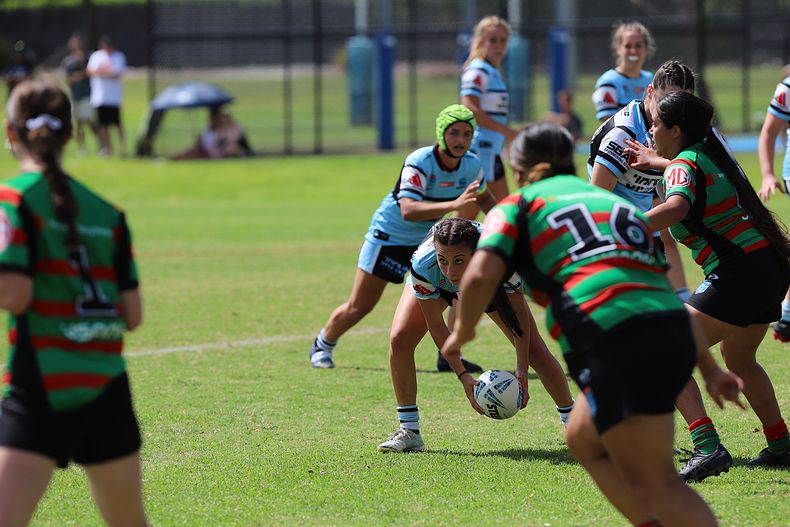 TGC Rnd 5 SHARKS vs RABBITOHS
