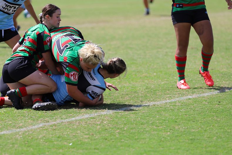 TGC Rnd 5 SHARKS vs RABBITOHS