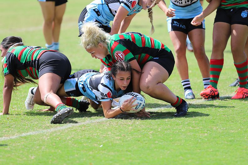 TGC Rnd 5 SHARKS vs RABBITOHS