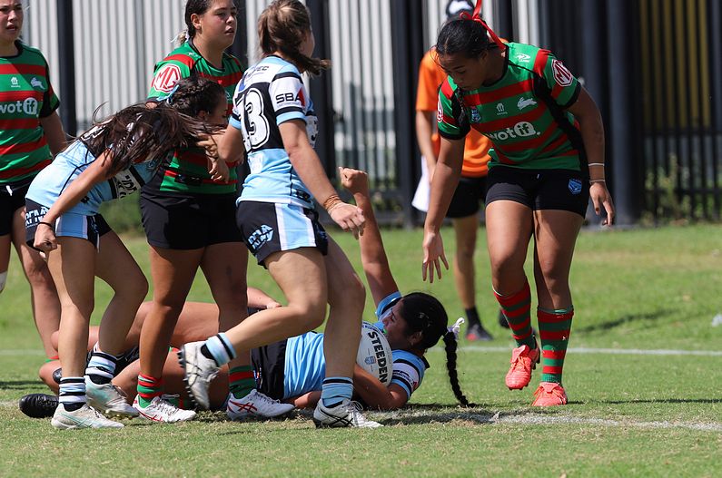 TGC Rnd 5 SHARKS vs RABBITOHS