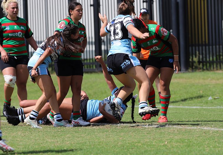 TGC Rnd 5 SHARKS vs RABBITOHS