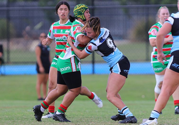 HNWP Rnd 5 SHARKS vs RABBITOHS